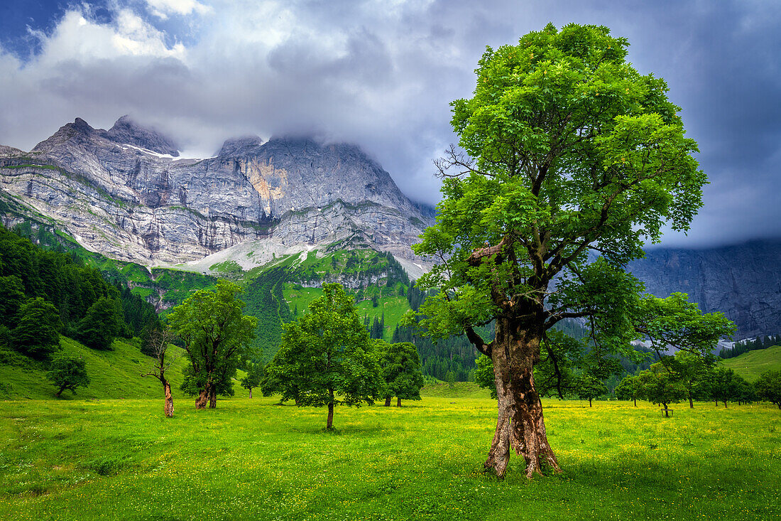  Eng Alm, Ahorn, Grosser Ahornboden, Enting, Mountains, Risstal, Alps, Austria, Germany, Europe 