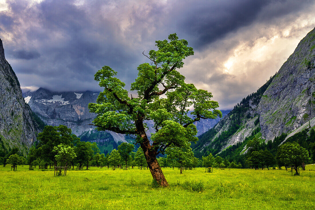  Eng Alm, Ahorn, Grosser Ahornboden, Enting, Mountains, Risstal, Alps, Austria, Germany, Europe 