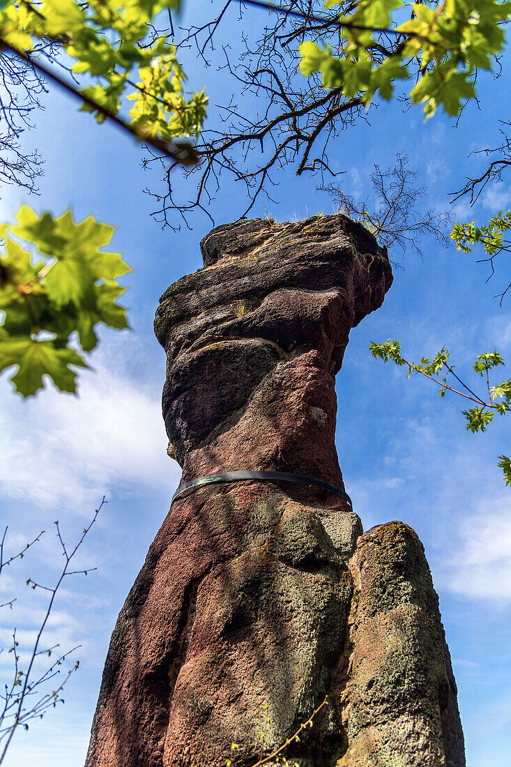  Goose beak, Ilfelder valley, cliff, forest, Ilfeld, Harz, Thuringia, Germany, Europe 