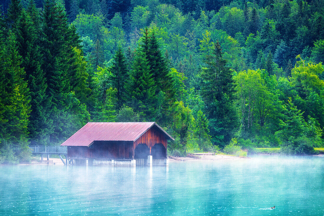  boathouse, shore, rain, fog, Walchensee, mountains, Alps, Bavaria, Germany, Europe 