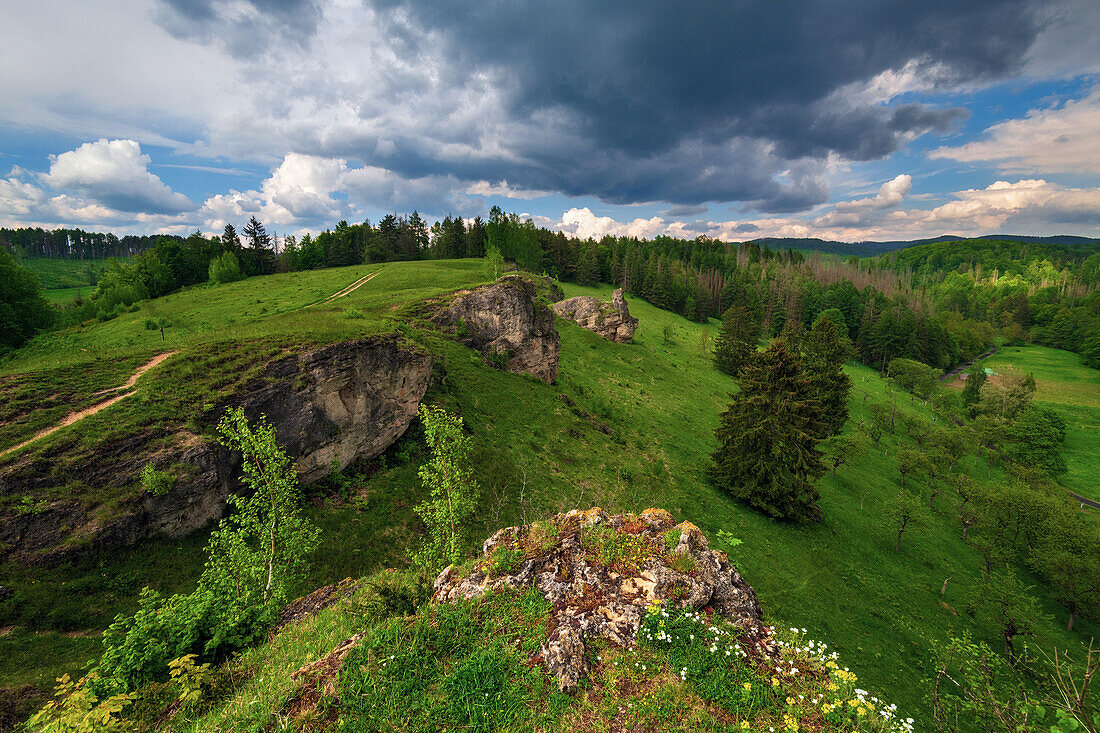 Hügel, Wald, Sturm, Steinkirche, Scharzfeld, Harz, Niedersachsen, Deutschland, Europa