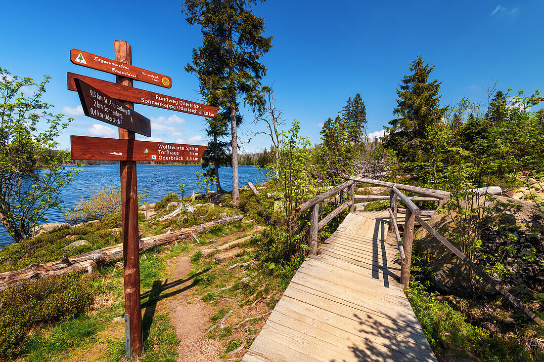  water, lake, signpost, hiking trail, circular route, Oderteich, Harz, Lower Saxony, Germany, Europe 