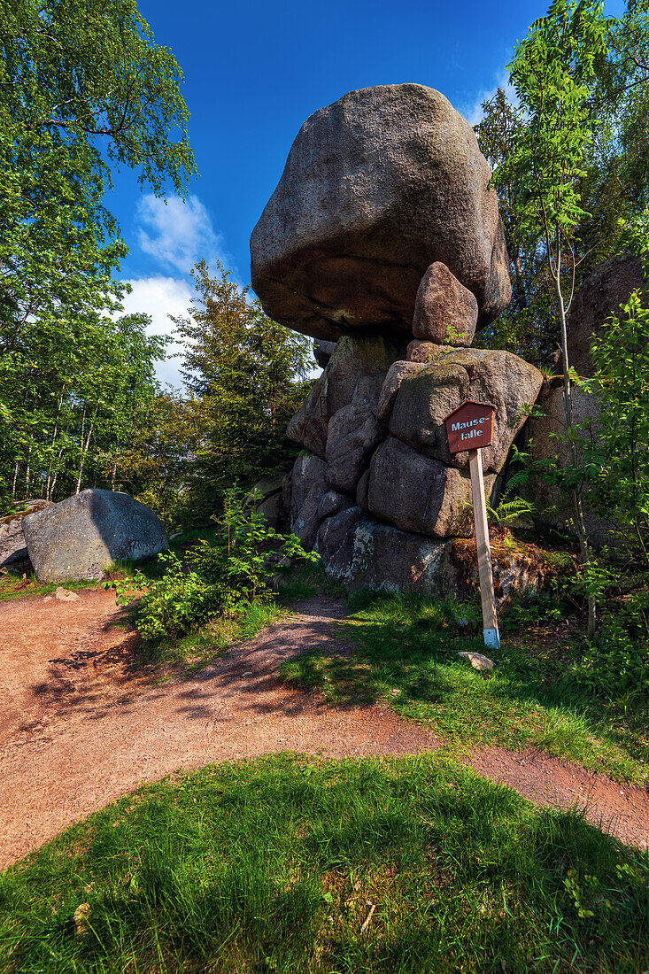  hiking trail, cliff, rock formations, Oker, Okertalsperre, Okertal, Oker, Harz, Lower Saxony, Germany, Europe 