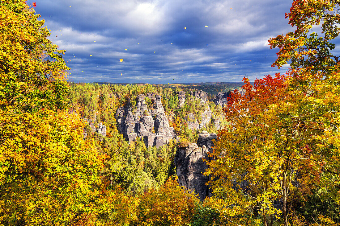 Sonnenuntergang, Goldene Stunde, Klippen, Wald, Bastei, Sächsische Schweiz, Sachsen, Deutschland, Europa