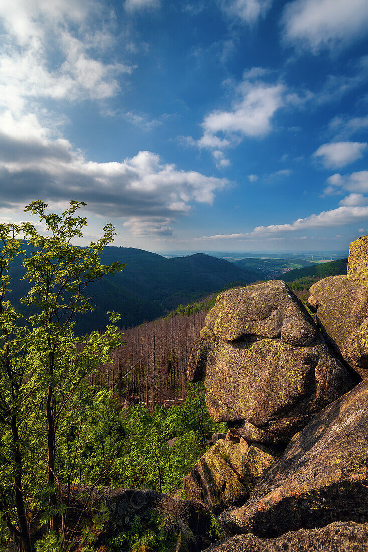  hiking trail, cliff, Kästeklippe, Oker, Okertalsperre, Okertal, Oker, Harz, Lower Saxony, Germany, Europe 