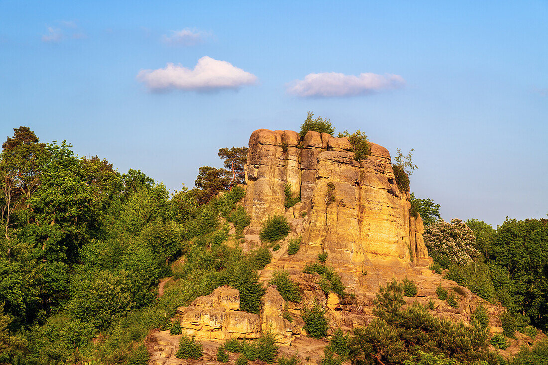  FÃ¼nffingerfelsen, Klus, Klusfelsen, sandstone, Halberstadt, Harz, Saxony-Anhalt, Germany, Europe 