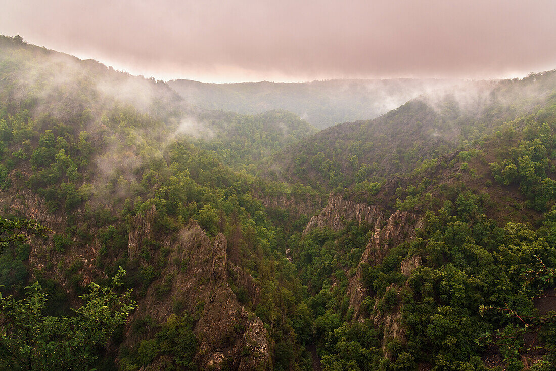 Wald, Tal, Schlucht, Bodetal, Berge, Thale, Harz, Sachsen-Anhalt, Deutschland, Europa