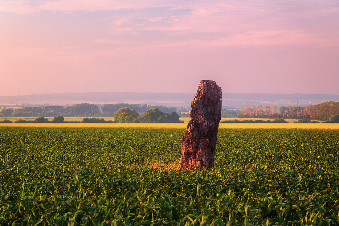  Menhir, cult site, culture, legendary, Benzingerode, Harz, Saxony-Anhalt, Germany, Europe 