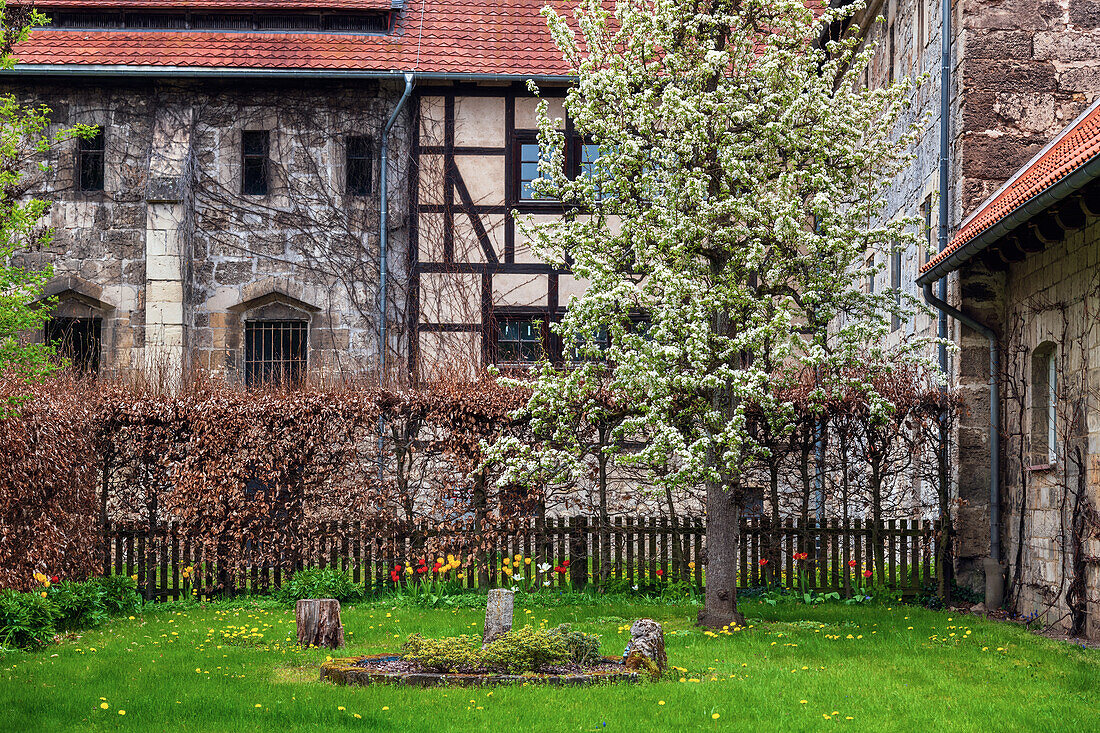 Zisterzienser Museum, Kloster, Walkenried, Bögen, Südharz, Harz, Niedersachsen, Deutschland, Europa