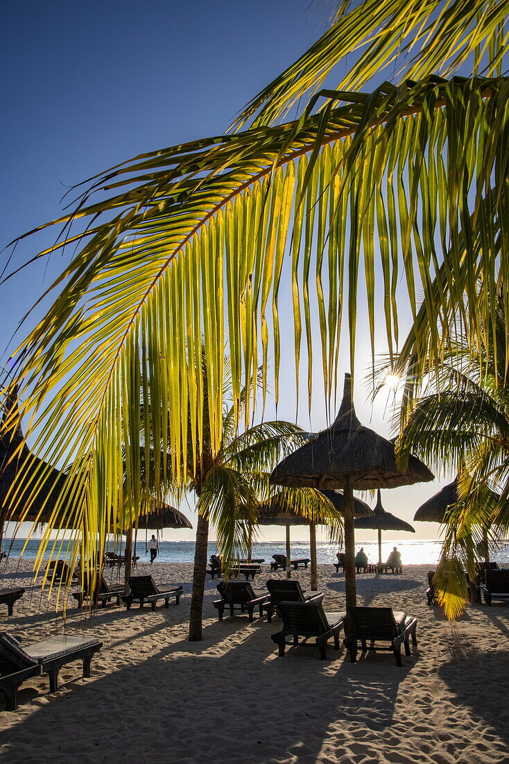 Kokospalmen und Liegestühle am Strand des Dinarobin Beachcomber Golf Resort & Spa Le Morne, Rivière Noire, Insel Mauritius, Indischer Ozean