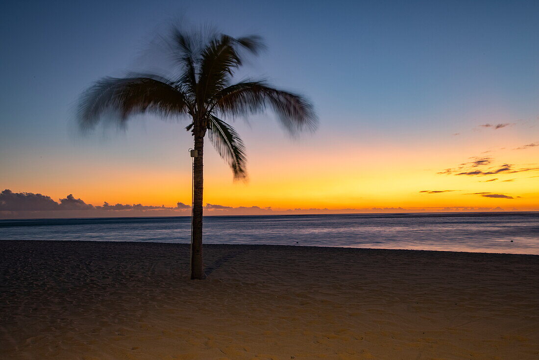 Kokospalme am Strand des Dinarobin Beachcomber Golf Resort & Spa bei Sonnenuntergang, Le Morne, Rivière Noire, Insel Mauritius, Indischer Ozean