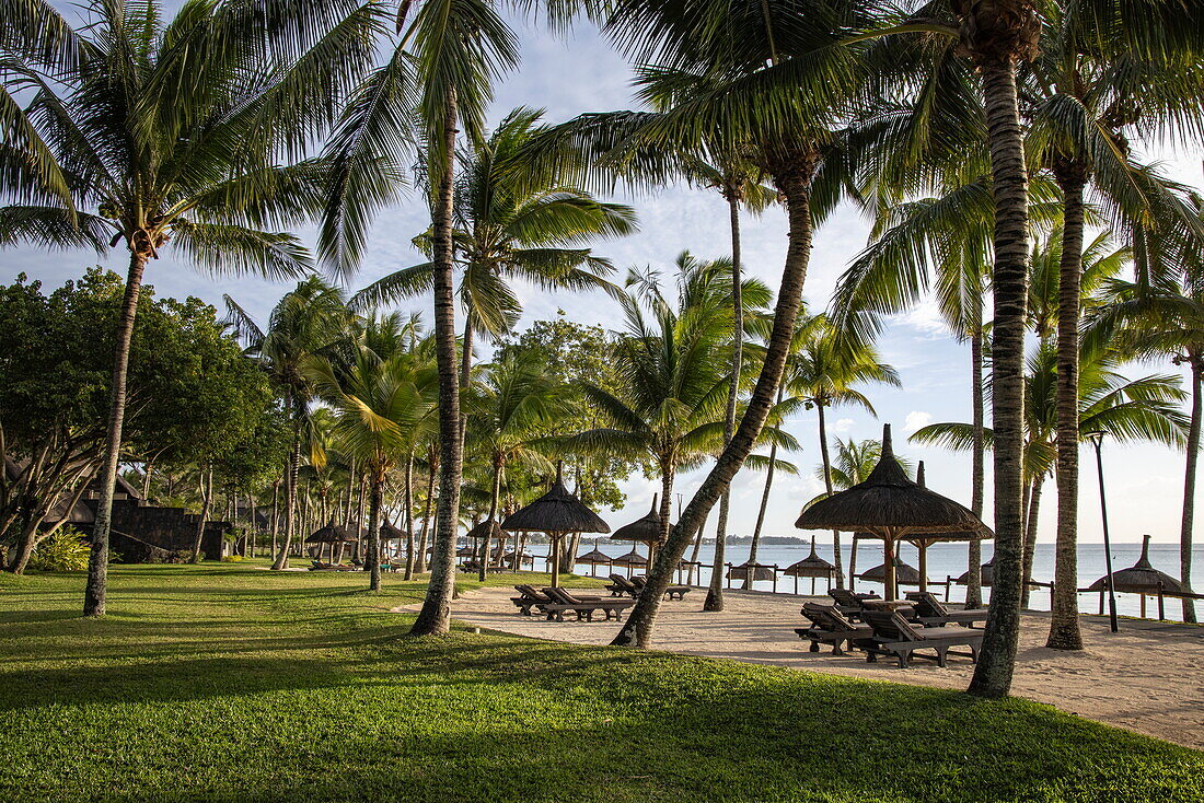 Kokospalmen, Liegestühle Strohschirme am Strand, Trou aux Biches Beachcomber Golf Resort & Spa, Trou aux Biches, Pamplemousses, Insel Mauritius, Indischer Ozean