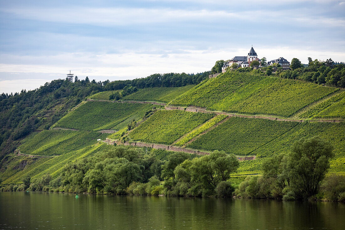 Weinberge entlang der Mosel mit Hotel und Restaurant Marienburg am Hang, Pünderich, Rheinland-Pfalz, Deutschland, Europa