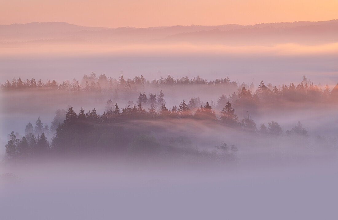 Blick auf das Kochelmoos bei Sonnenaufgang und Nebel, Zell, Großweil, Bayern, Deutschland