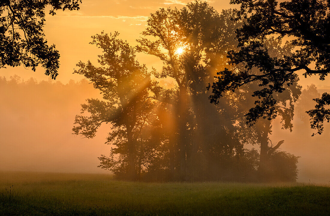  Early autumn - foggy morning in the Alpine foothills, Bavaria, Germany 