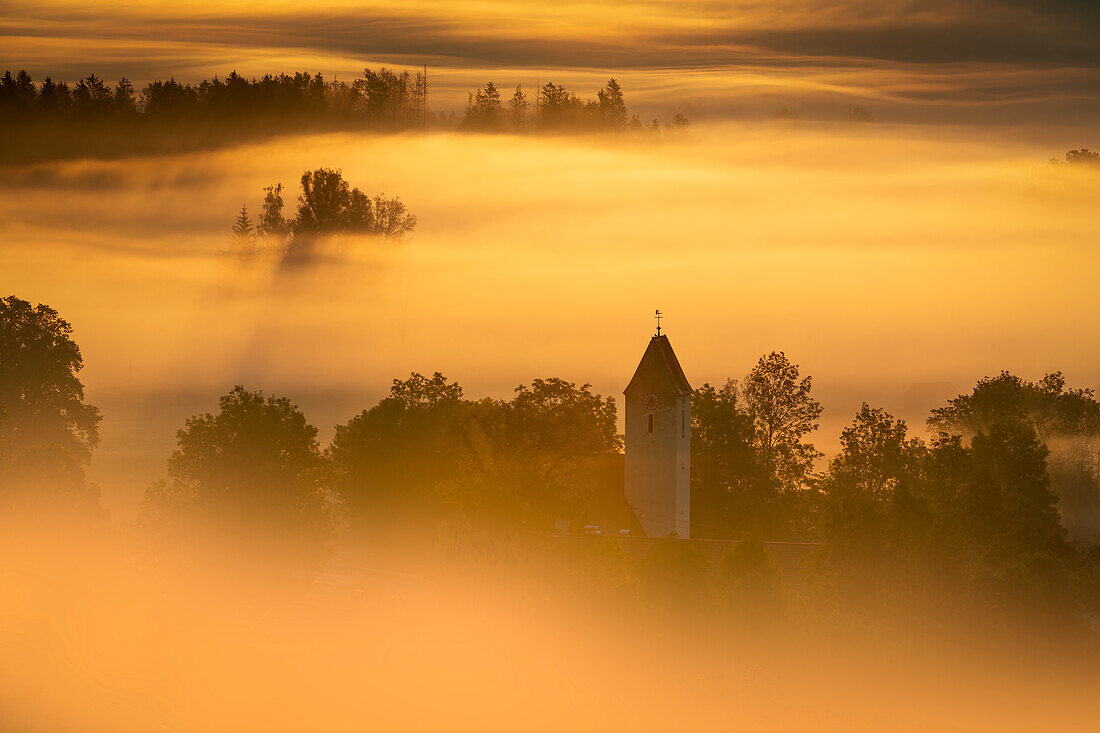  Sunrise and fog over the Kochelmoos, Zell, Großweil, Bavaria, Germany 