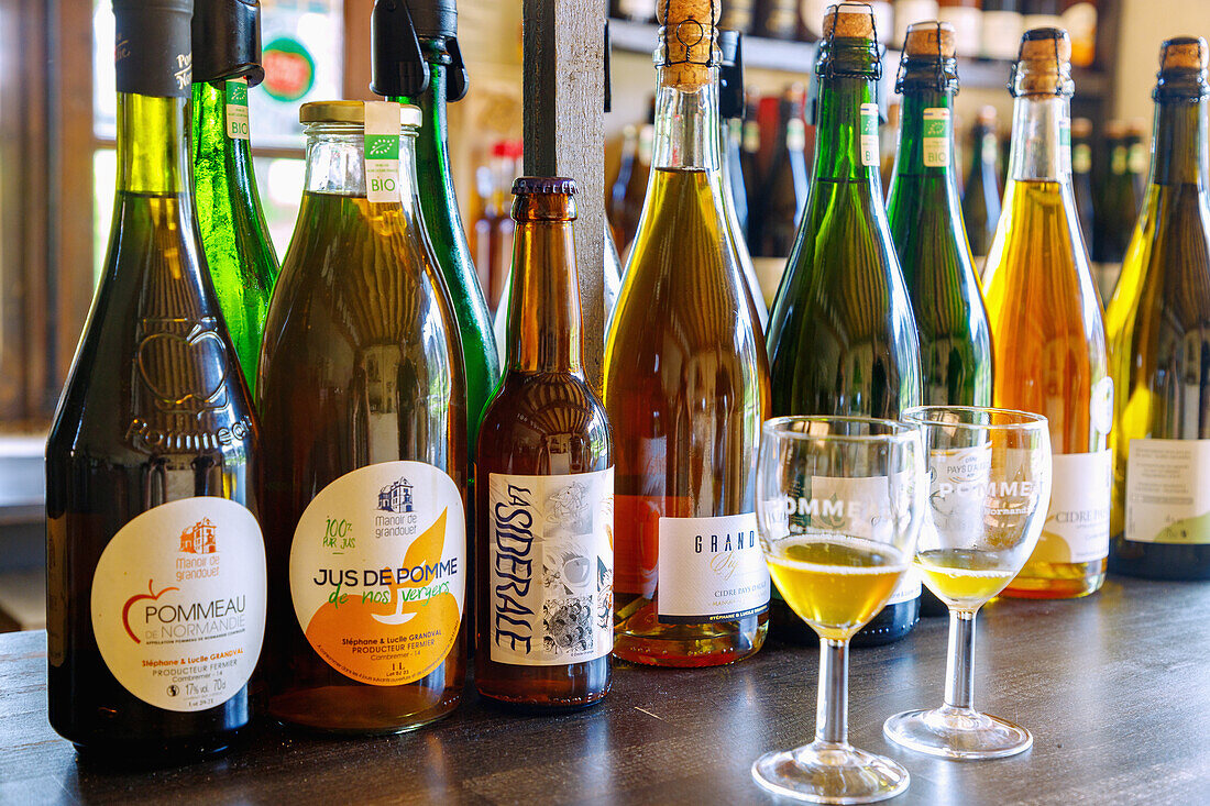 Degustation verschiedener Sorten von Cidre und Calvados in der Cidrerie des Manoir de Grandouet bei Cambremer im Pays d'Auge im Département Calvados in der Region Normandie in Frankreich