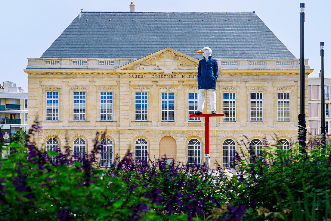  Museum National d&#39;Histoire Naturelle (Museum of Natural History, Museum of Natural History) with painted bronze sculpture ›Monsieur Goéland‹ by Stephan Balkenhol (2020) from the cultural program ›Un Été au Havre‹ in Le Havre on the Alabaster Coast (Côte d&#39;Albatre, Cote d&#39;Albatre) in the Seine-Maritime department in the Normandy region of France 