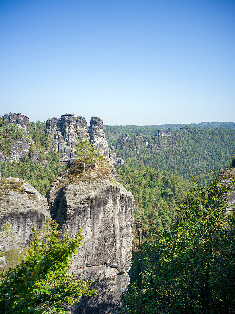  View from the Bastei Bridge to the Gansfelsen, Bastei, Saxon Switzerland, Elbe Sandstone Mountains, Saxony, Germany, Europe 