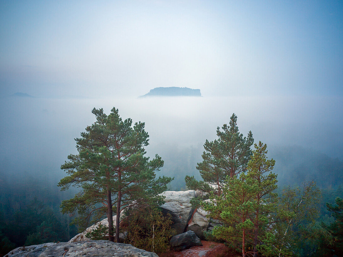 Blick vom Gamrig zum Lilienstein, Sächsische Schweiz, Elbsandsteingebirge, Sachsen, Deutschland, Europa