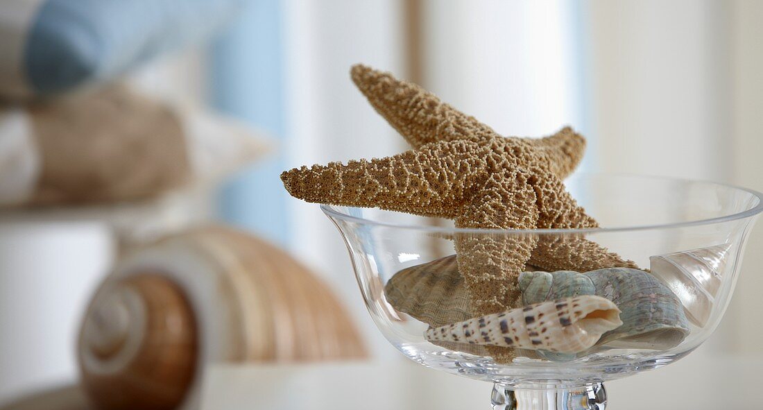 Starfish and shells in a glass bowl as table decoration