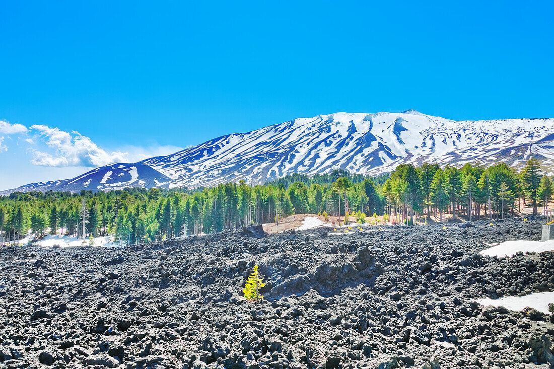  Blick auf Lavafelder und schneebedeckte Gipfel in der Ferne, Ätna, Sizilien, Italien 