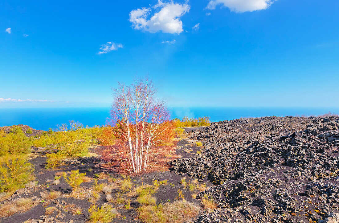 Volcanic landscape, Etna, Sicily, Italy