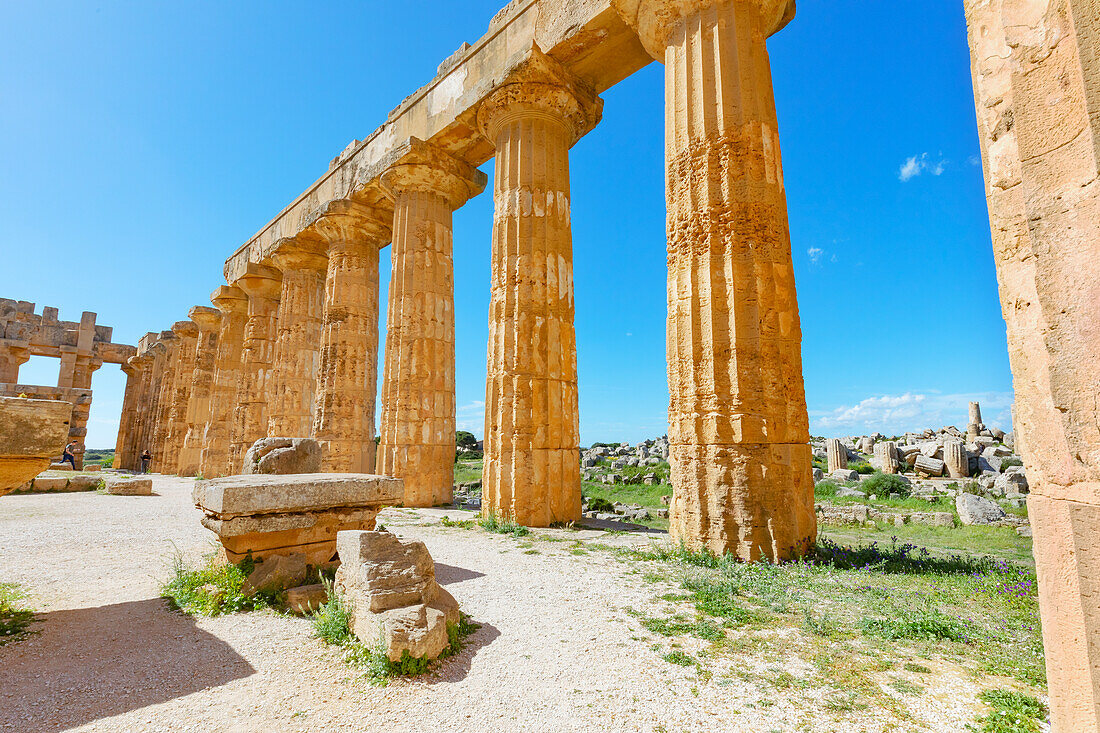 Temple of Hera or Temple E, Selinunte Archaeological Park, Selinunte, Trapani district, Sicily, Italy