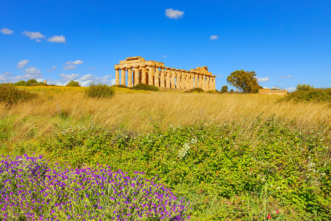  Tempel der Hera oder Tempel E, Archäologischer Park Selinunte, Selinunte, Bezirk Trapani, Sizilien, Italien 