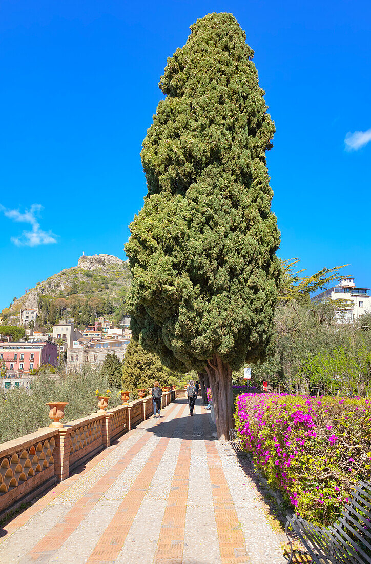  Öffentliche Gärten von Taormina, Taormina, Sizilien, Italien 