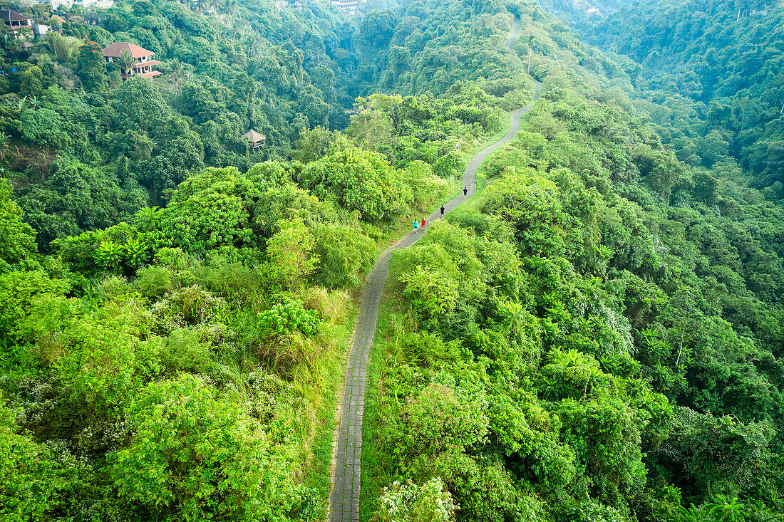 Aerial view of the Campuhan Ridge Walk trail in Ubud, Bali, Indonesia.