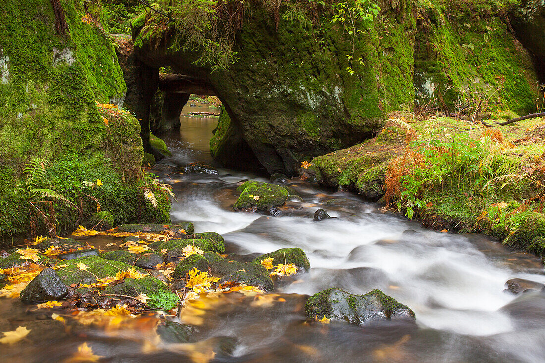  Kirnitzsch in Khaatal, Bohemian Switzerland National Park, Czech Republic 