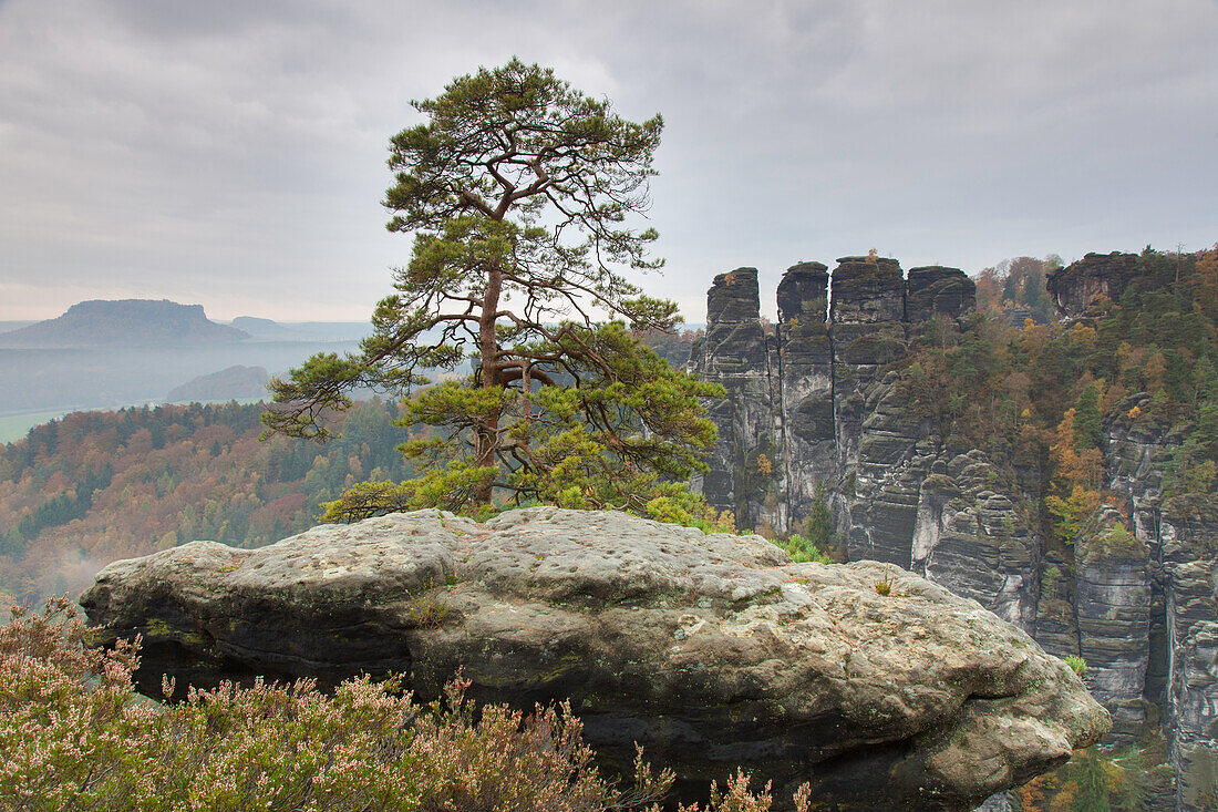  View of the Kleine Gans rock at the Raaber Kessel, Elbe Sandstone Mountains, Saechsische Schweiz National Park, Saxony, Germany 