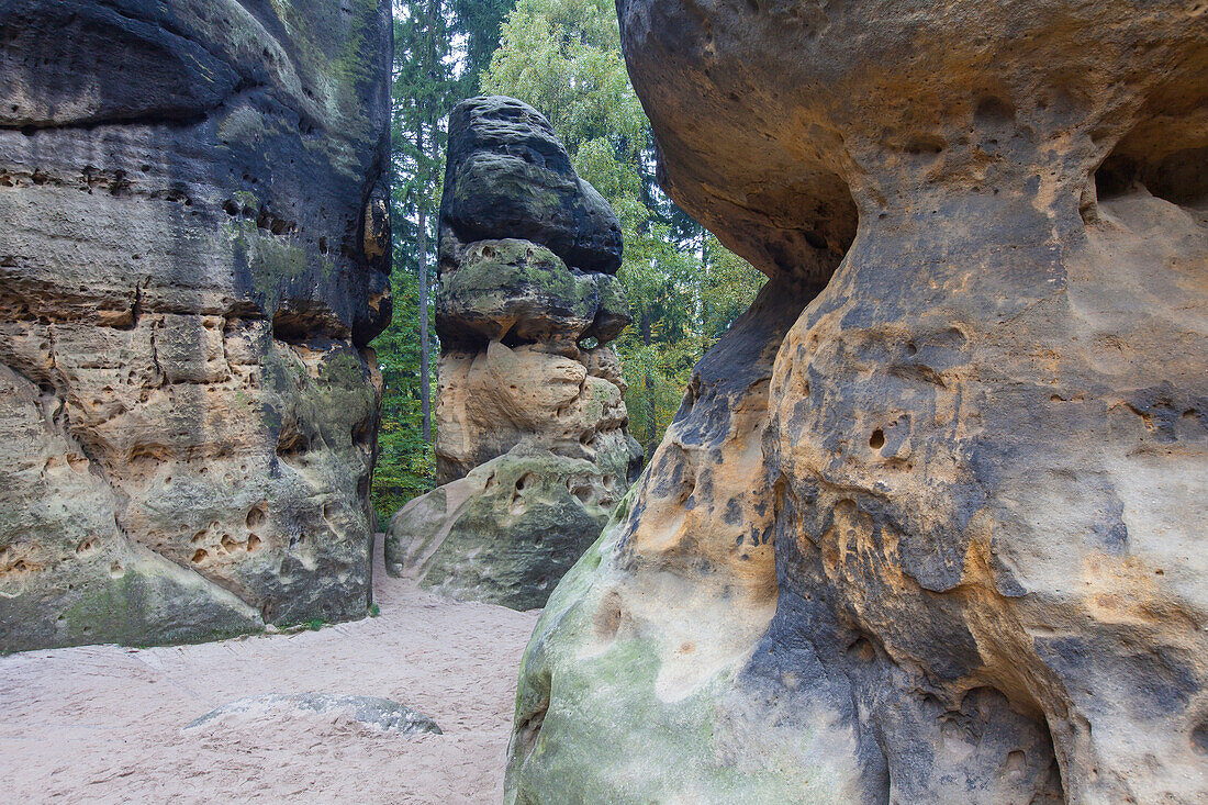  Grosse Schrammtor, Elbe Sandstone Mountains, Saxon Switzerland National Park, Saxony, Germany 