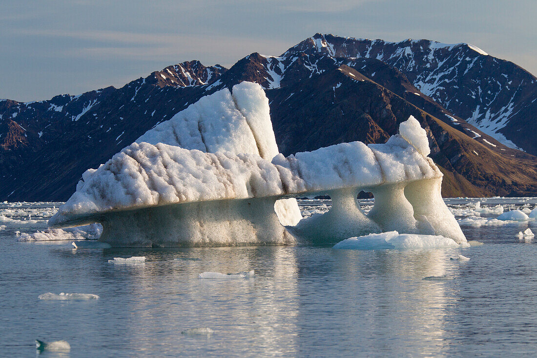  Ice floe in Lilliehoeoek Fjord, Krossfjord, Spitsbergen, Norway 