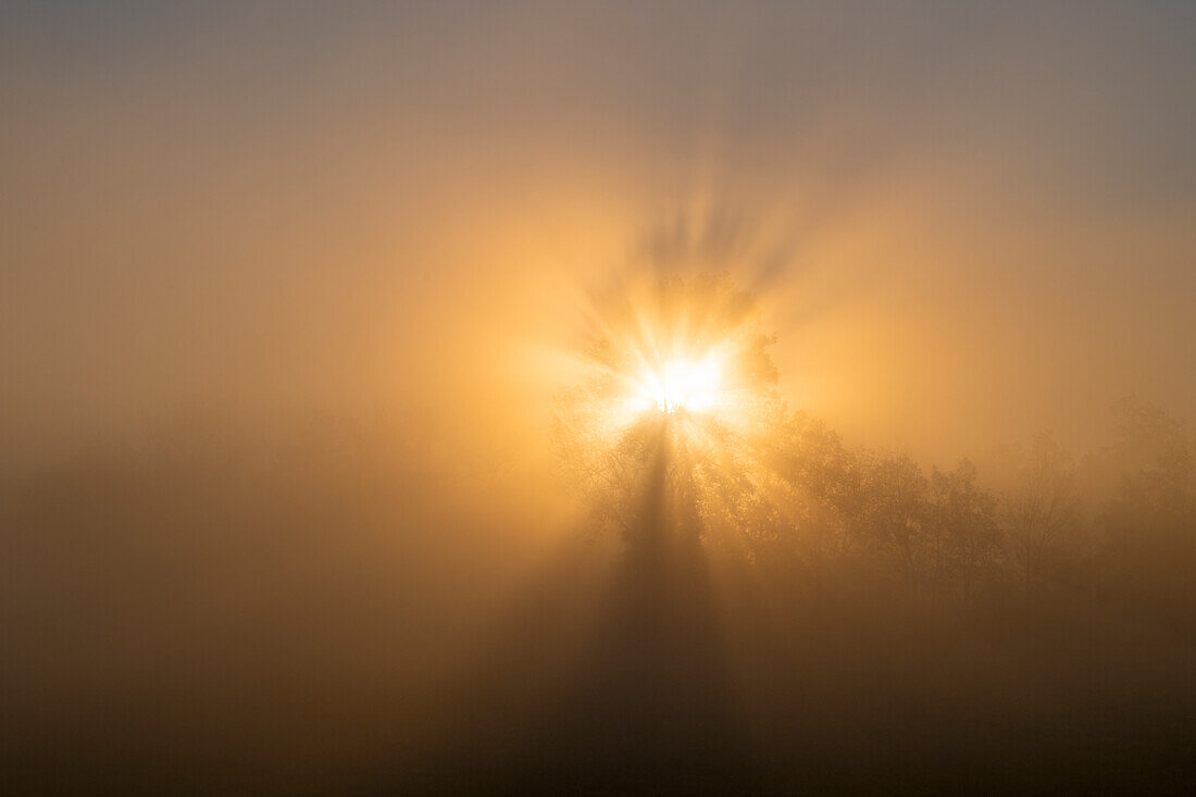  Fog - sunrise in autumn, Weilheim, Bavaria, Germany 