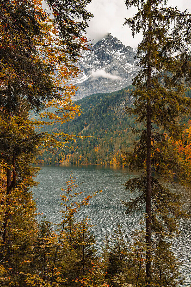 Herbstnachmittag am Eibsee, Grainau, Werdenfelser Land, Oberbayern, Bayern, Deutschland, Europa