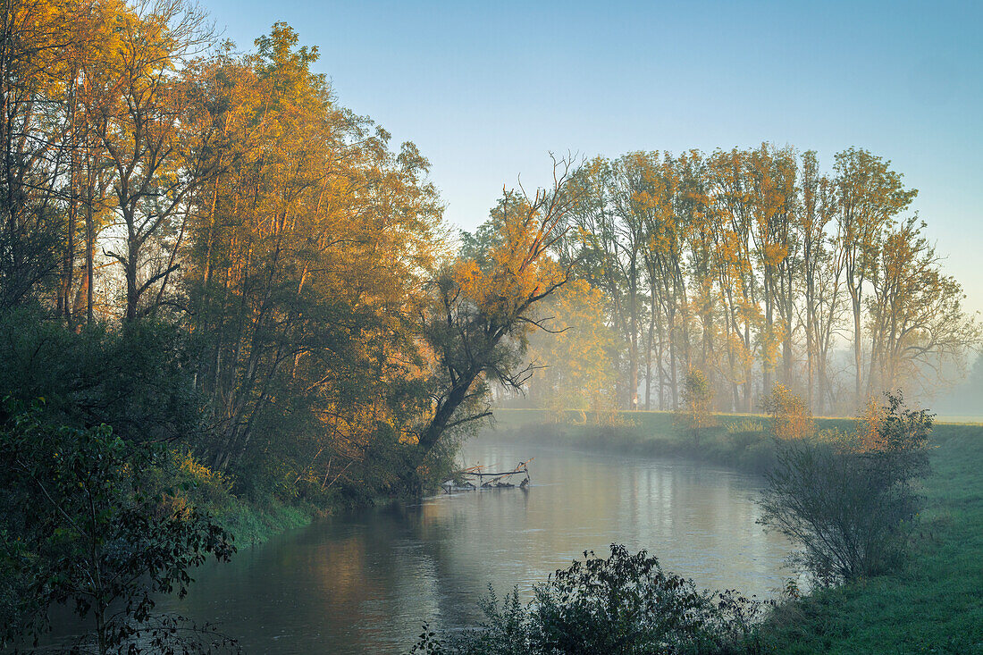  Autumn morning on the Ammer, Weilheim, Bavaria, Germany 