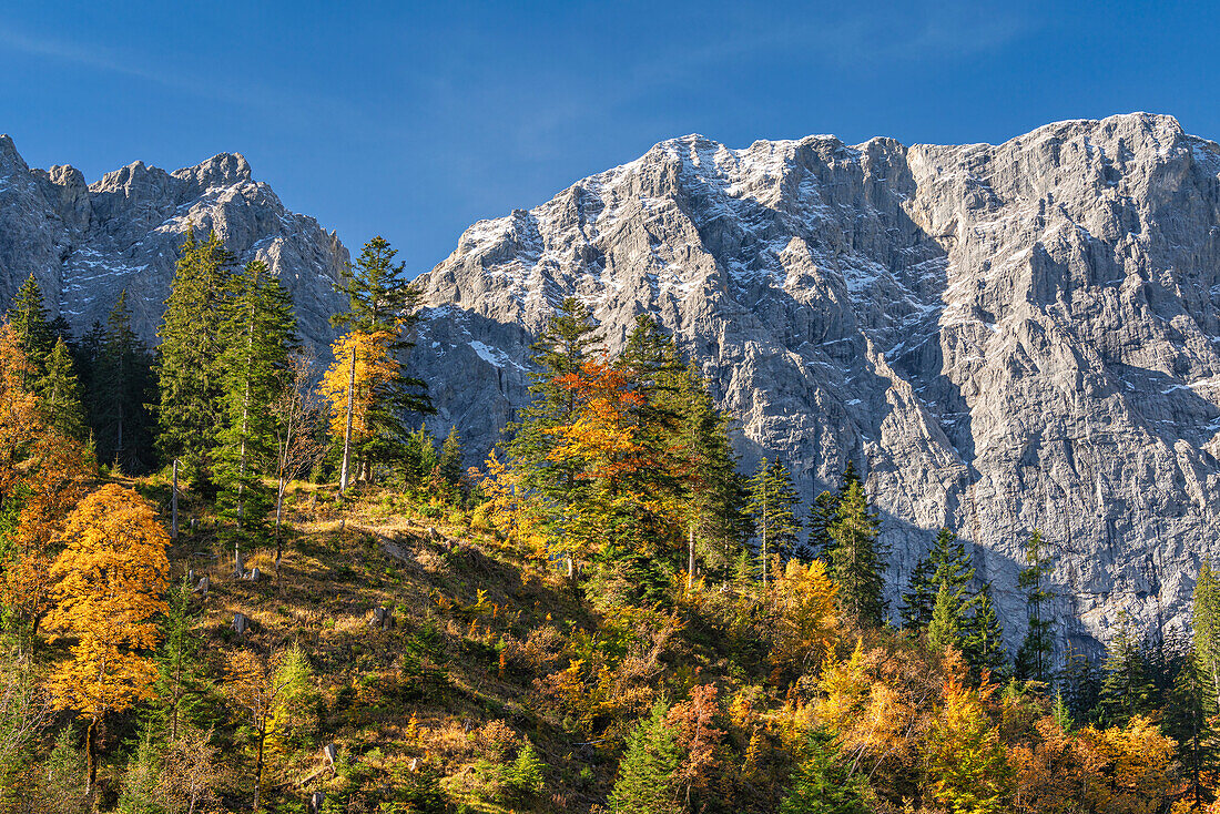 Farbenprächtiger Herbst im Karwendel, Hinterriß, Karwendel, Tirol, Österreich, Europa