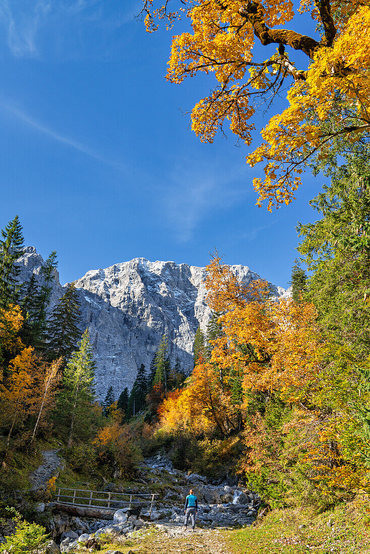  Colorful autumn in the Karwendel, Hinterriß, Karwendel, Tyrol, Austria, Europe 