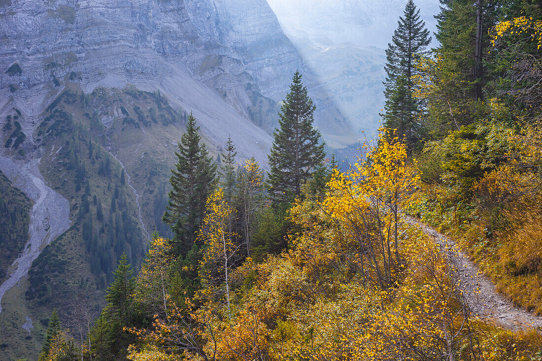  Colorful autumn in the Karwendel, Hinterriß, Karwendel, Tyrol, Austria, Europe 