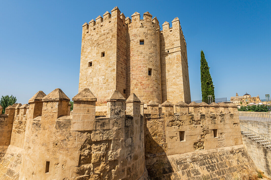  Torre de la Calahorra in Cordoba, Andalusia, Spain 