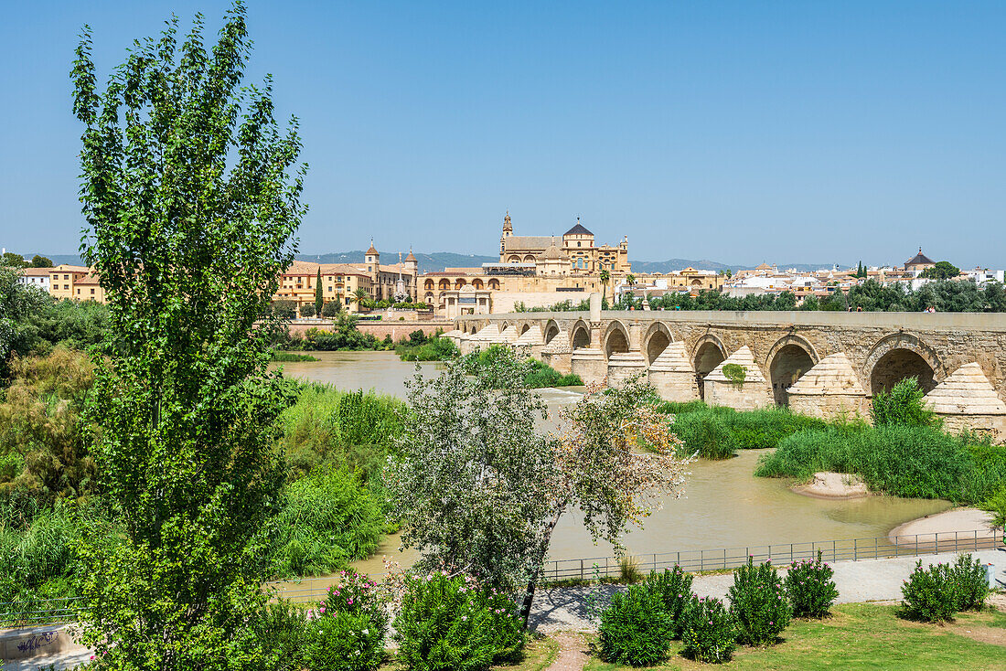  Puente Romano and Mezquita-Cathedral on the river Gudalquivir in Cordoba, Andalusia, Spain 