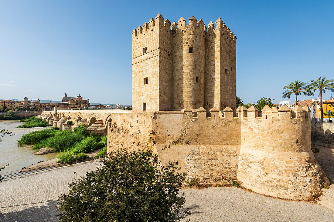  Torre de la Calahorra, Puente Romano and Mezquita Cathedral on the Gudalquivir River in Cordoba, Andalusia, Spain 