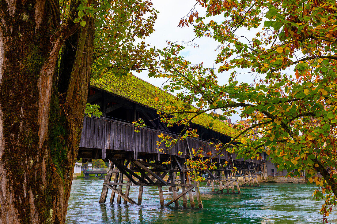  Altstadt und die historische überdachte Holzbrücke über die Aare an einem sonnigen Tag mit Wolken in Olten, Kanton Solothurn, Schweiz. 