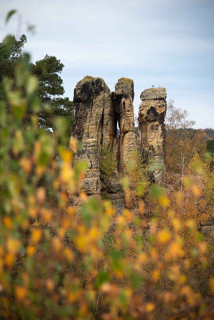 Fünffingerfelsen, Sandsteinformation in den Klusbergen, davor Herbstlaub, Halberstadt, Sachsen-Anhalt, Deutschland