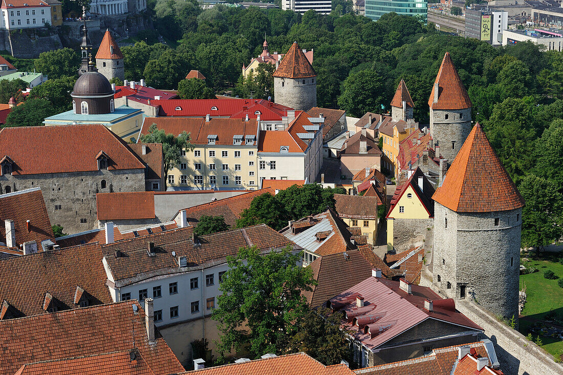 Altstadt gesehen vom Turm der St. Olav-Kirche, Tallinn, Estland, Nordeuropa