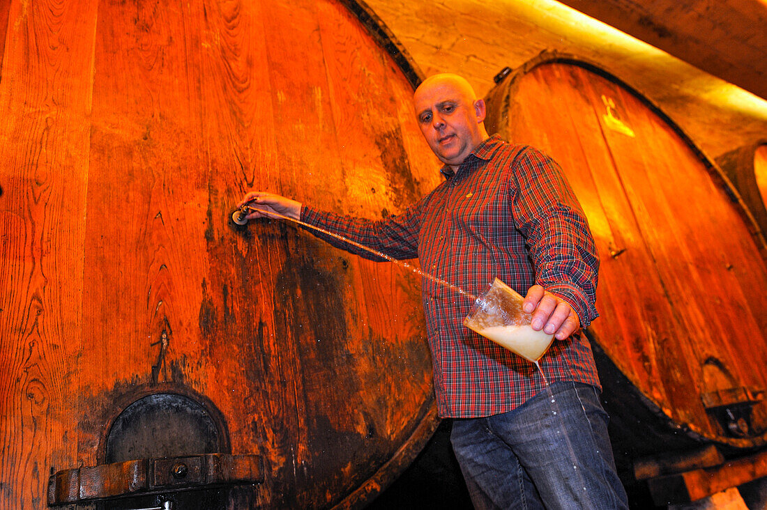 “txotx taste”( drinking cider straight from de huge wood barrel), Petritegi Cider House, village of Astigarraga, province of Gipuzkoa, Basque Country, Spain,Europe