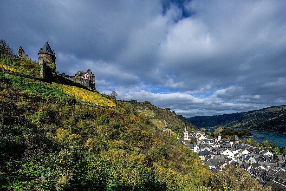  Old town of Bacharach, vineyards and Stahleck Castle in autumn, Upper Middle Rhine Valley, Rhineland-Palatinate, Germany 