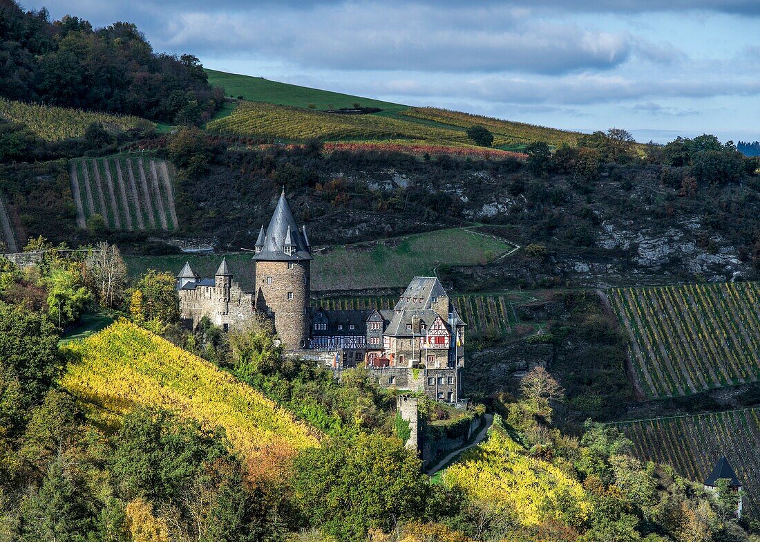  Stahleck Castle surrounded by vineyards in autumn, Bacharach, Upper Middle Rhine Valley, Rhineland-Palatinate, Germany 